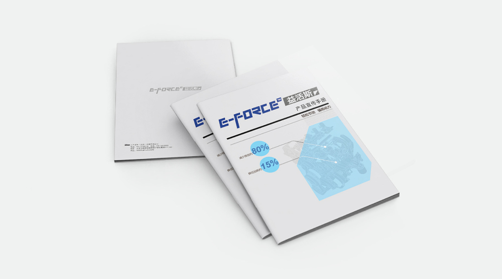 E-FPRCE宣传册设计